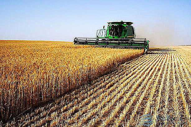 Objavljena je Odluka o dodjeli bespovratnih sredstava pomoći poljoprivrednicima