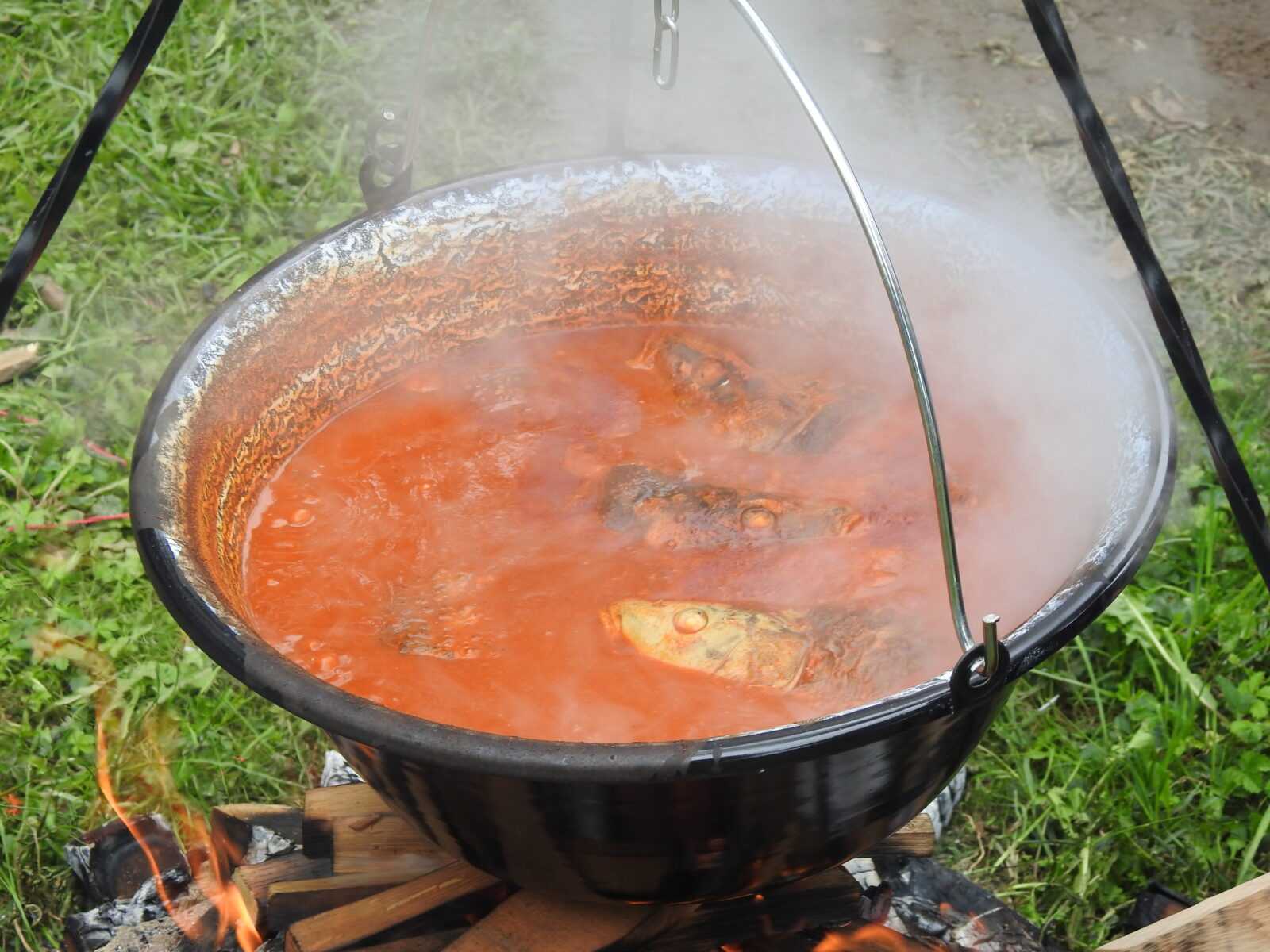 Foto: Požeški.hr