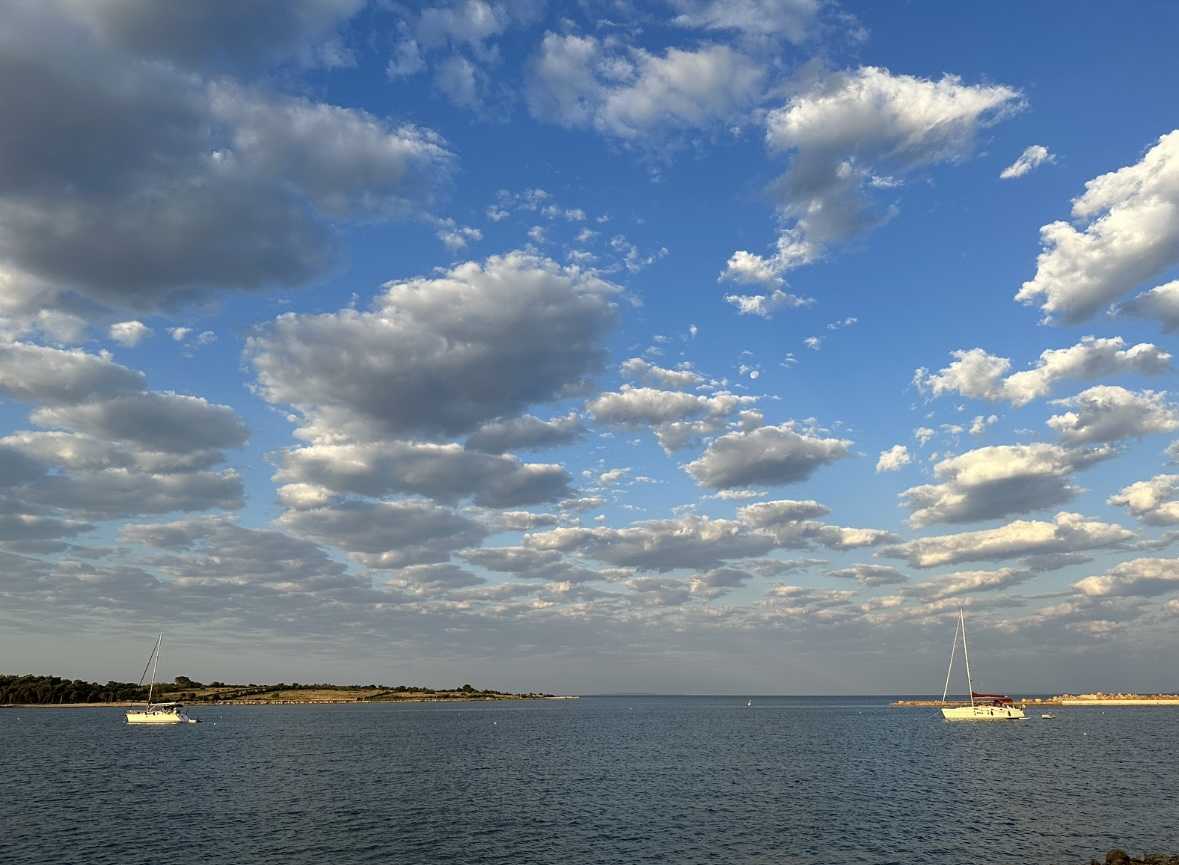 Foto: Mateo Pejaković