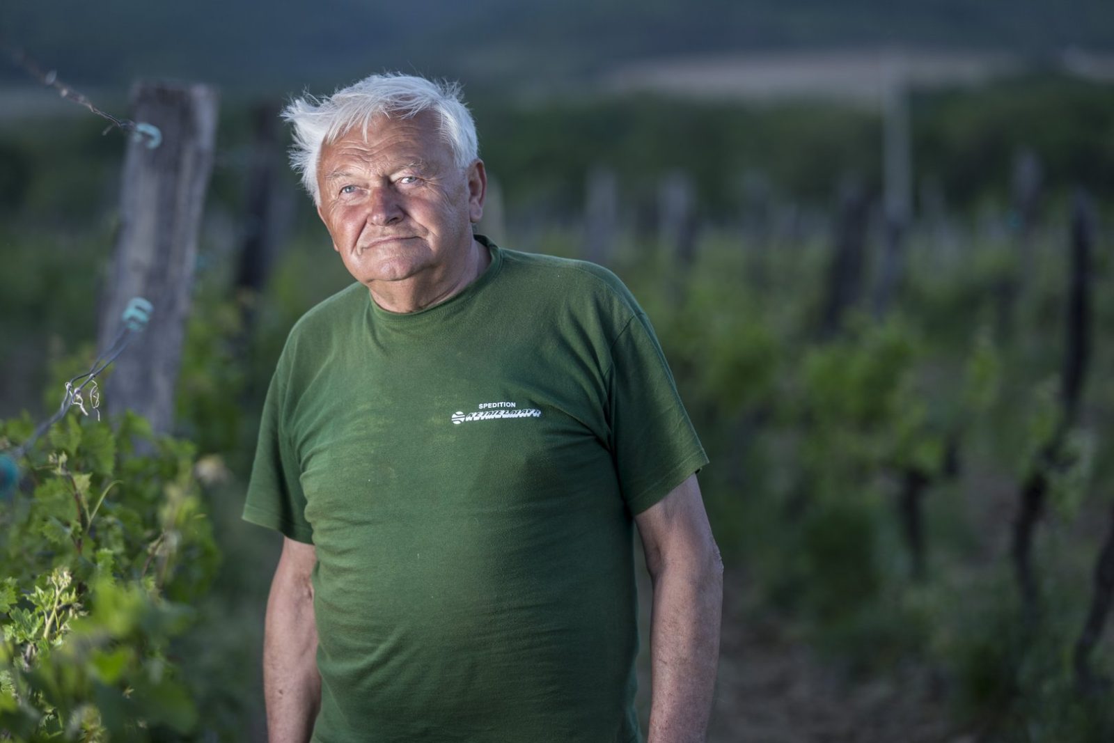 Foto: Bojan Markičević Haron