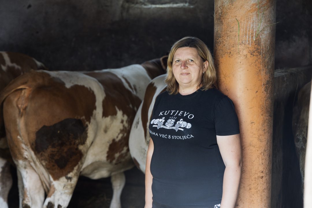 OPG Anita Ašenbrener: Domaće, s ljubavlju, iz Kutjeva