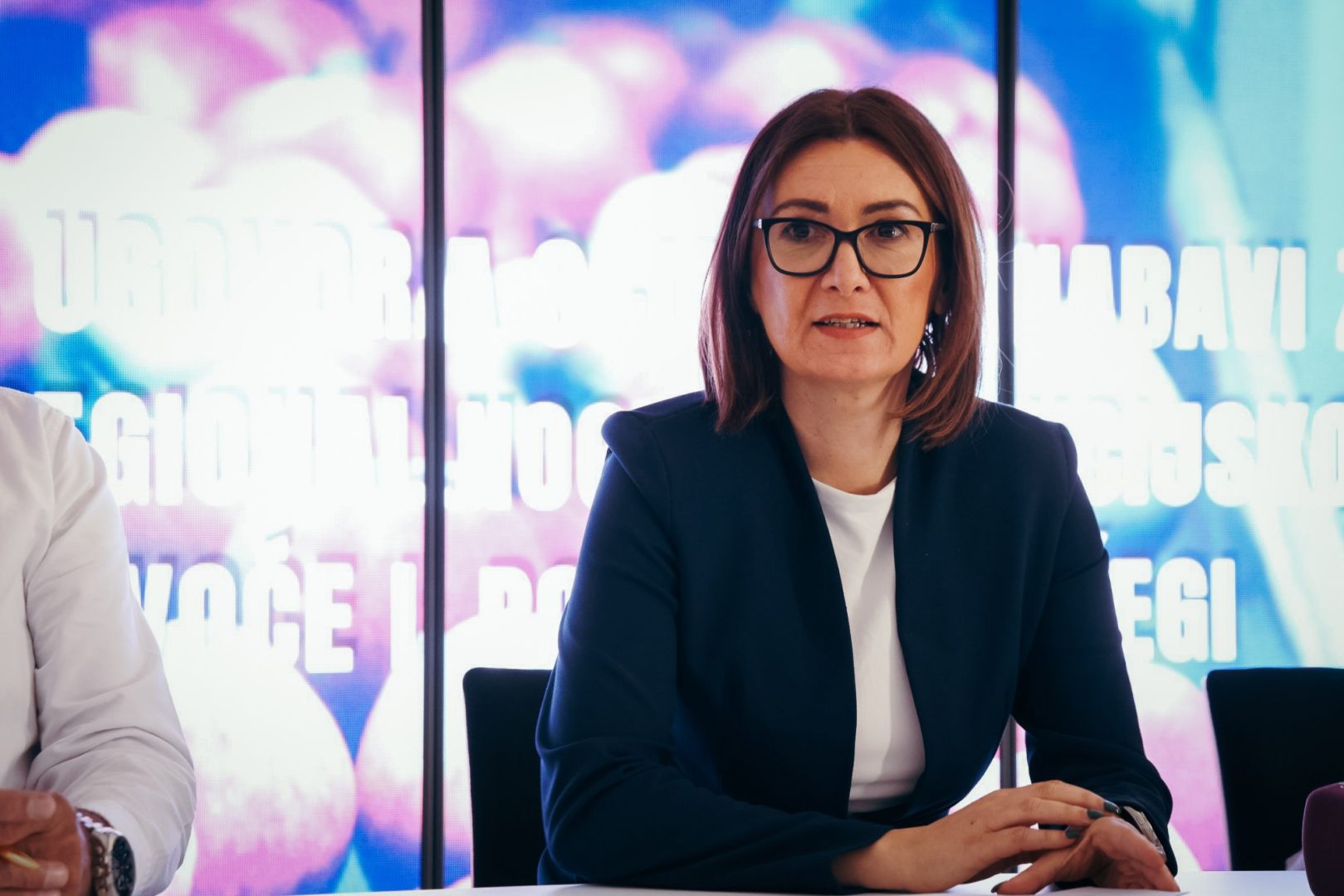 Čestitka županice Jozić u prigodi Dana državnosti