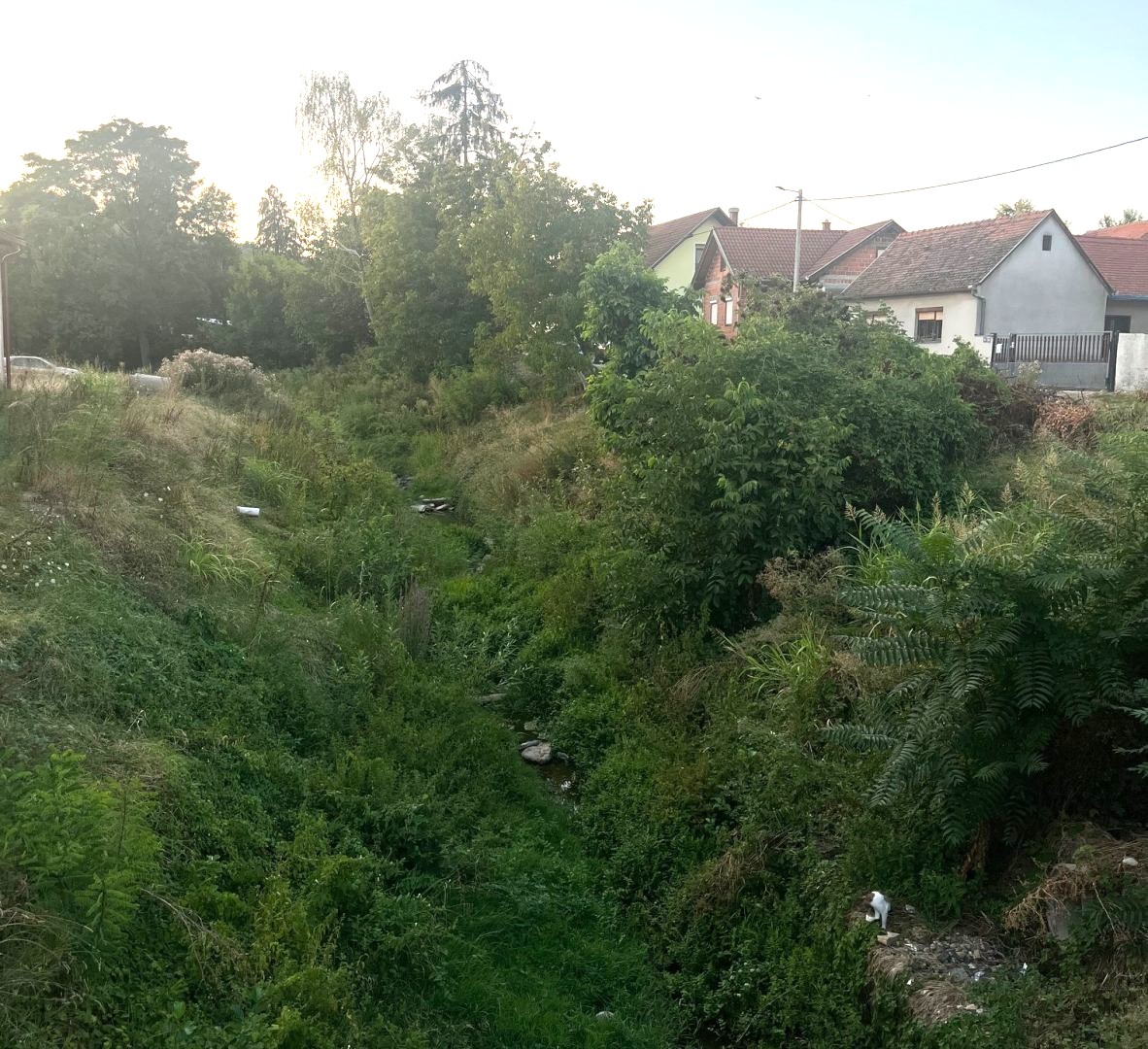 Središte Biškupaca zarasta u džunglu, a nadležni mjesecima šute