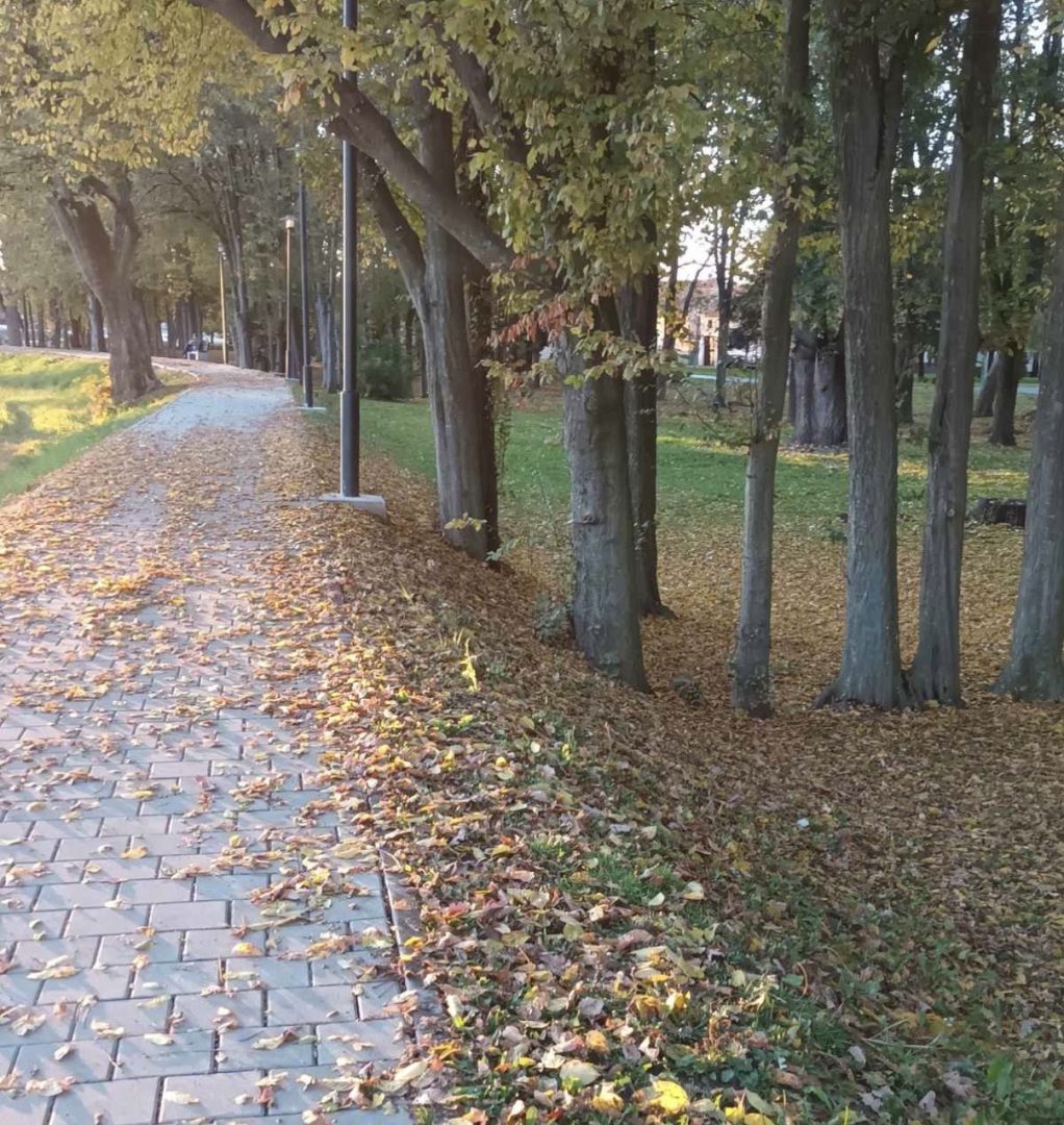 Stigla je jesen, kraći dani i svježija jutra najavljuju novo godišnje doba