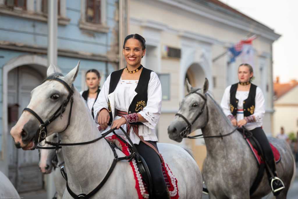 Konji i kočije ove godinu nisu bili dobrodošli na Zlatnim žicama Slavonije